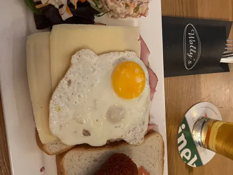 Wally's BV