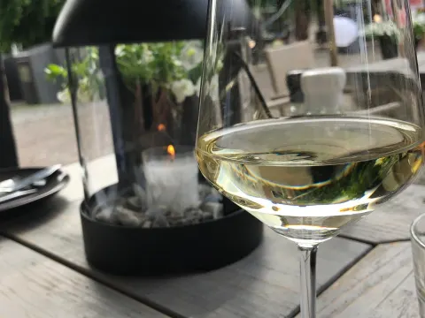 Foto 4 van Zilverzoen