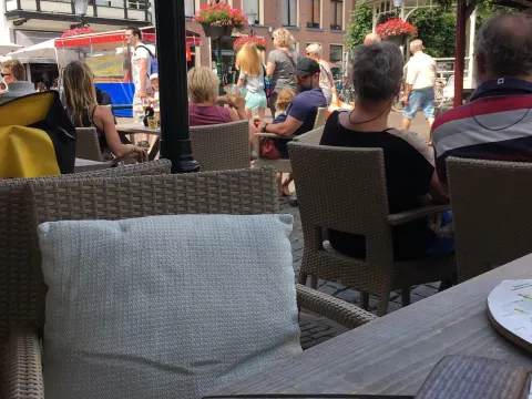 Zilverzoen