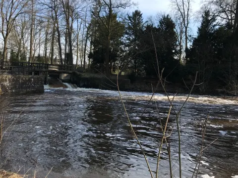 Foto 4 van Restaurant De Watermolen