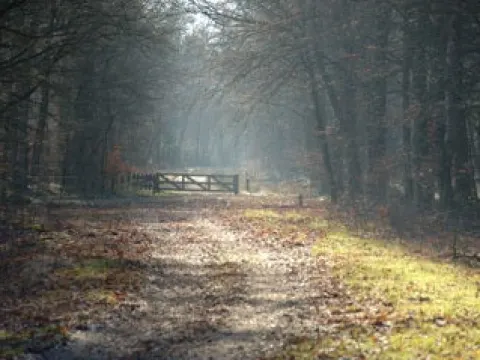Foto 2 van Het Tramlokaal