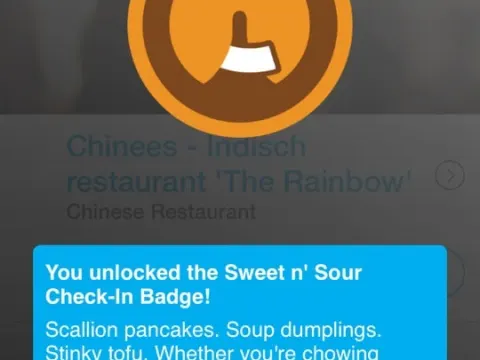 Chinees - Indisch restaurant 'The Rainbow'