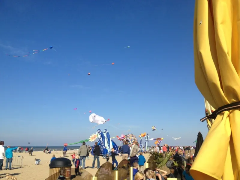 Foto 1 van ElBully
