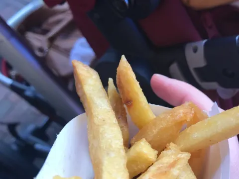 De Vlaamsche Reus