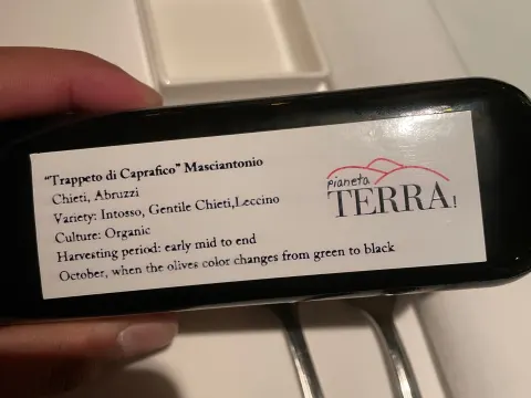 Pianeta Terra