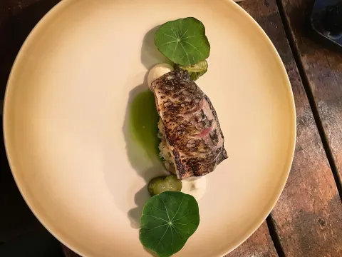 Wilde Zwijnen