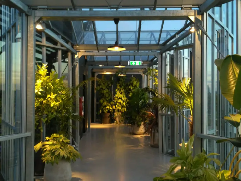 Foto 1 van Zoku