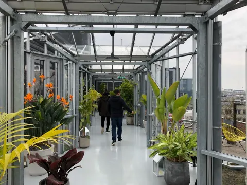 Foto 5 van Zoku