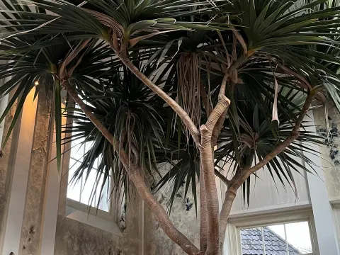 Foto 4 van De Orangerie