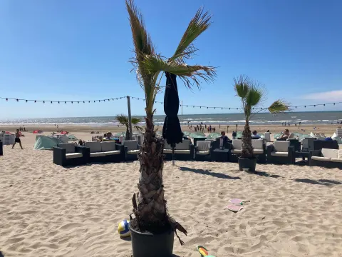 Foto 4 van Meijer aan Zee