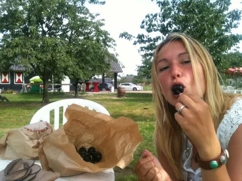 Oosterom Kersen