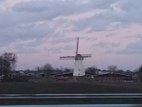 Chi-chis Nederweert
