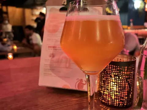 Stadsoase De popup bar