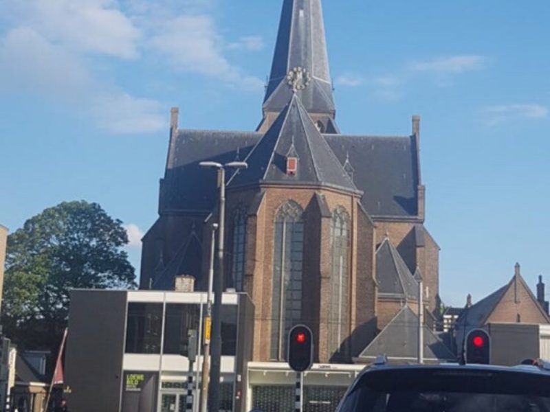Hollands Glorie
