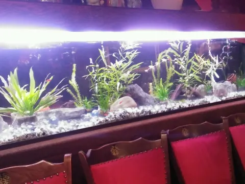 Chinees Restaurant Palace