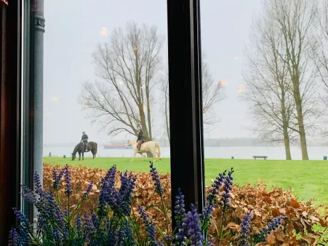 Foto 5 van Pannenkoekenhuis De Oude Maas