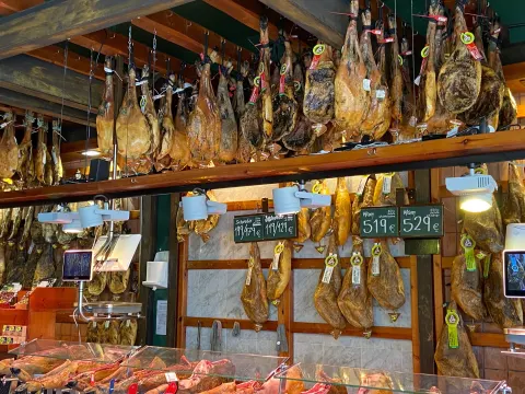 Ibericus