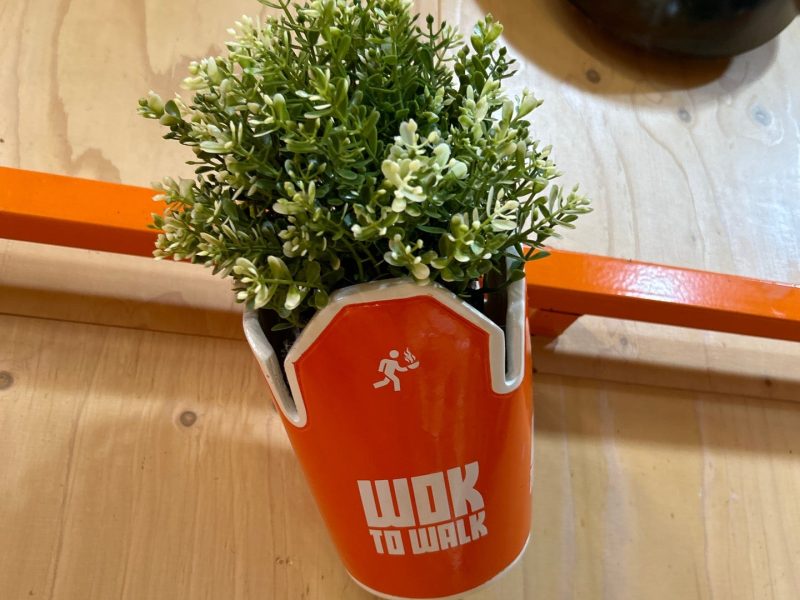 Foto 2 van Wok to Walk