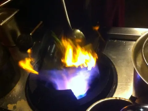 Wok De Hoven