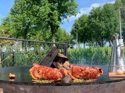 Big Green Egg Totaal