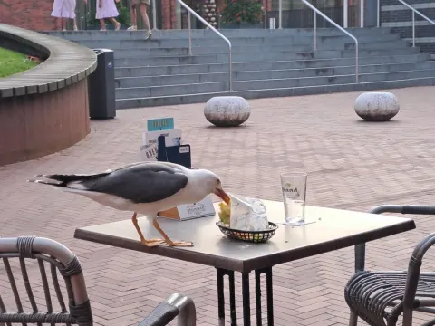 Foto 4 van Proeflokaal Bregje