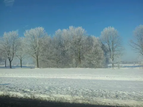 Het Schwarzwald