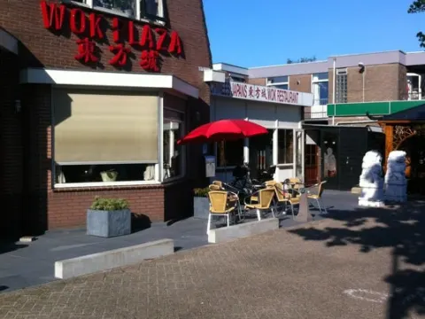 Foto 2 van Wok the plaza