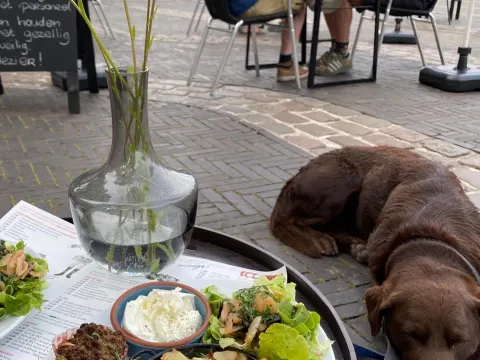 FoodVia