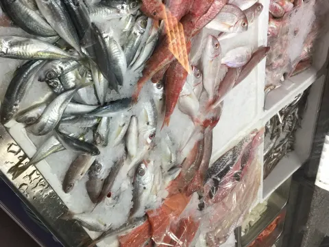 Langosta Vishandel
