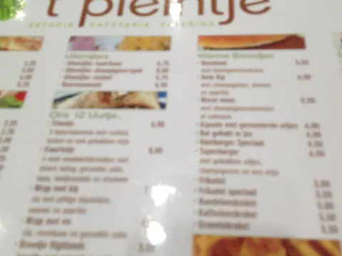 Pleintje