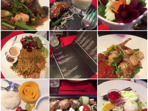 Orchids Modern Thai Cuisine