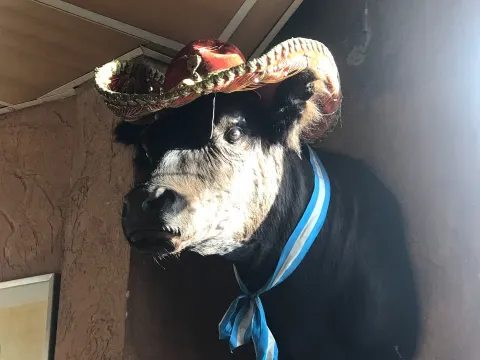 La Bamba Dos - Argentijns Specialiteiten Restaurant