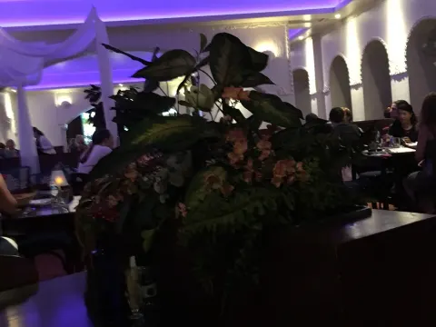 Foto 4 van Saray
