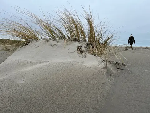 Strandpaviljoen WestAanZee