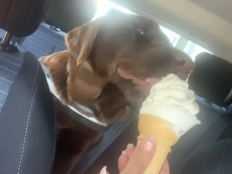 Foto 4 van KFC