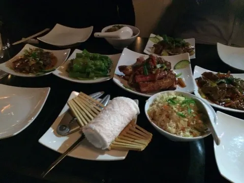 The Lotus Lounge