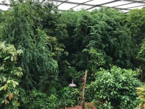 Safari Meeting Centre