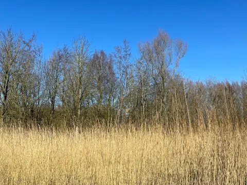 Smaak  & Stijl eten, drinken en meer