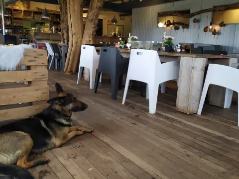 Smaak  & Stijl eten, drinken en meer