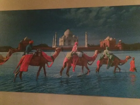 Taj Mahal Curry House