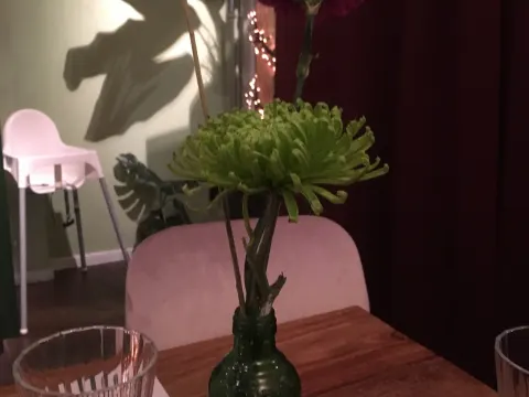 the bite club