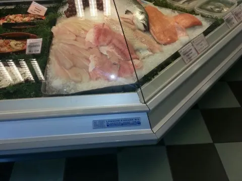 Maatjes Vispaleis