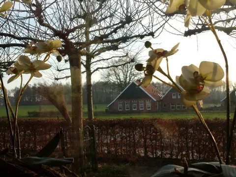 De Wittehoeve
