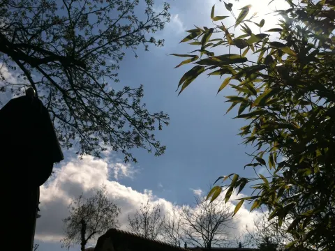 De Vondeltuin