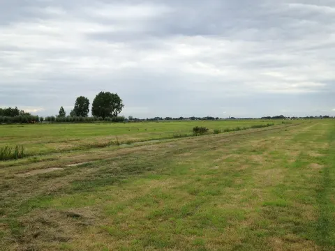 Zijldijk 36