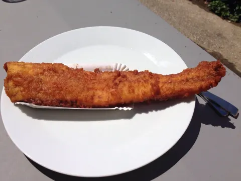 De Bakvis