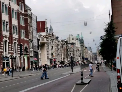 d' Theeboom