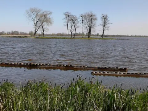 Foto 2 van Goudse Vis