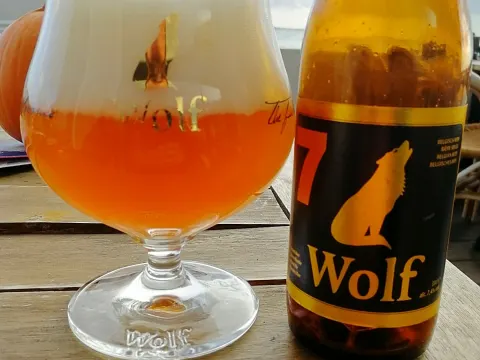 Foto 5 van Belgische loodsensocïteit