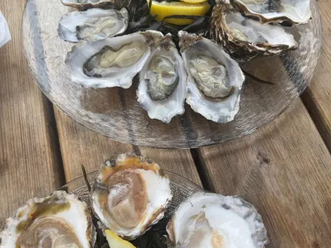 Oesterij